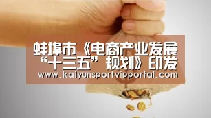 蚌埠市《电商产业发展“十三五”规划》印发快递业获利好“KAIYUN中国站”(图1) 开云体育入口