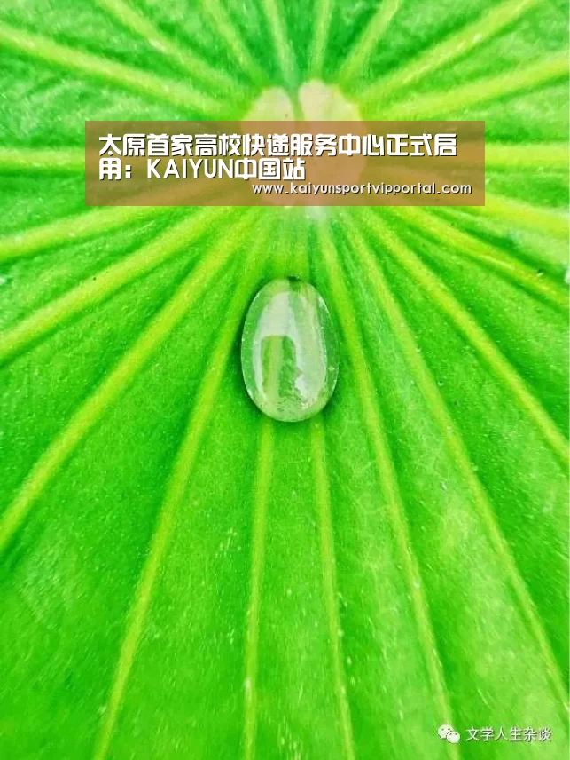 太原首家高校快递服务中心正式启用:KAIYUN中国站(图1) 开云平台官网