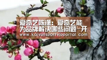 爱奇艺陈潇:爱奇艺能为品牌解决哪些问题-开云平台(图3) 开云平台