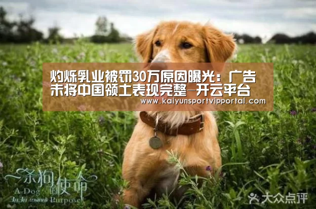 开云平台官网