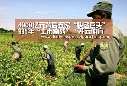 4000亿元背后五家“快递巨头”的5年“上市奋战”“开云体育入口”(图1) 开云平台