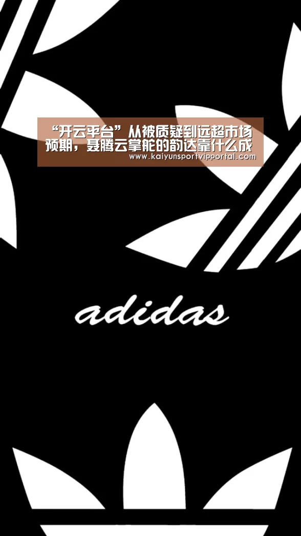 “开云平台”从被质疑到远超市场预期,聂腾云掌舵的韵达靠什么成功逆袭?...(图3) 开云平台官网