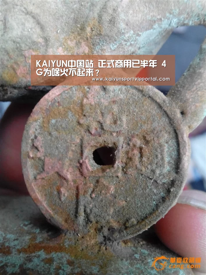 KAIYUN中国站_正式商用已半年 4G为啥火不起来?(图1) 开云平台