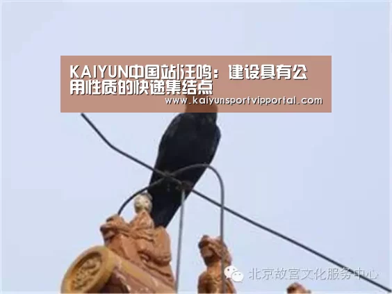 开云体育入口