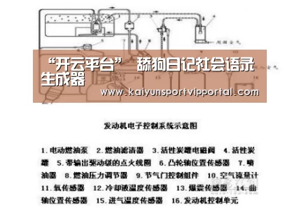 开云平台官网