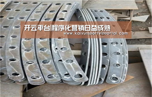 开云平台|程序化营销日益成熟(图3) KAIYUN中国站